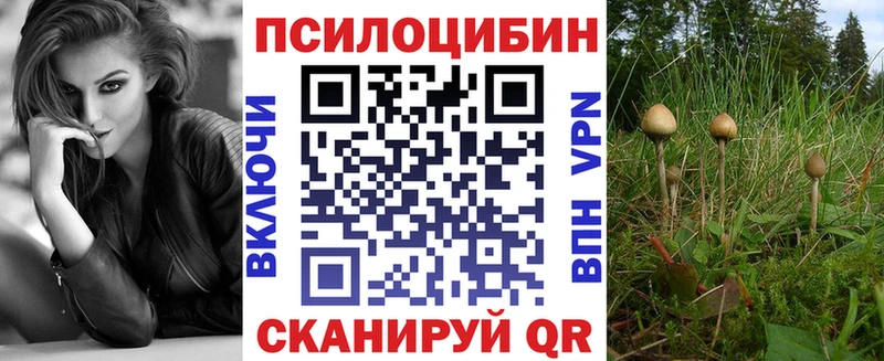 mega как войти Куровское Псилоцибиновые грибы Psilocybe где купить наркоту